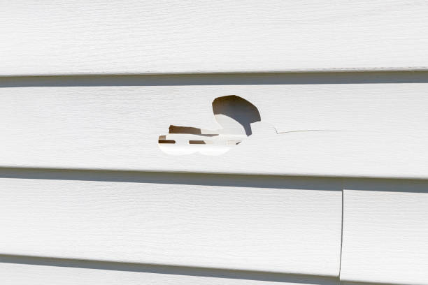 Best Storm Damage Siding Repair  in Attica, MI