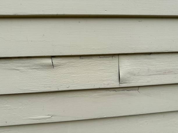 Siding for Multi-Family Homes in Attica, MI